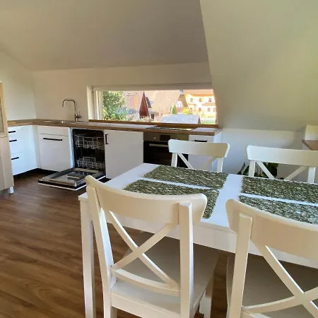 Zidana Marela - Attic With A View