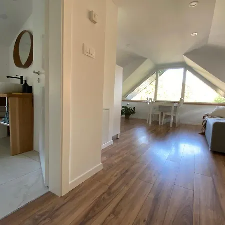 Zidana Marela - Attic With A View アパート クランスカゴーラ