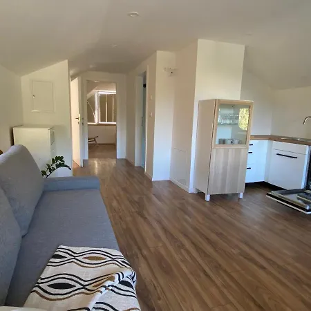 Zidana Marela - Attic With A View Διαμέρισμα Kranjska Gora