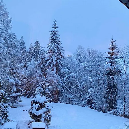 アパート Zidana Marela - Attic With A View *