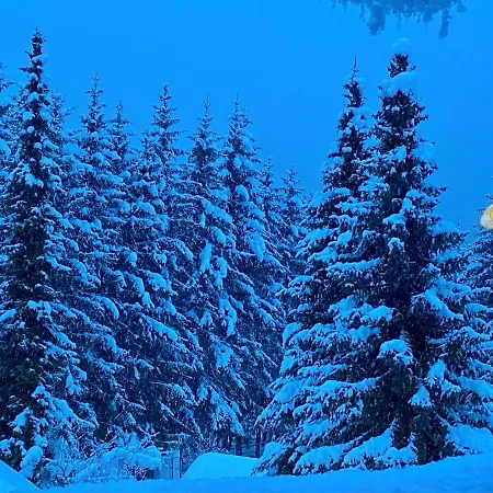 Zidana Marela - Attic With A View *