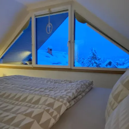 Zidana Marela - Attic With A View