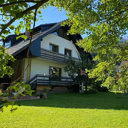 Zidana Marela - Attic With A View アパート