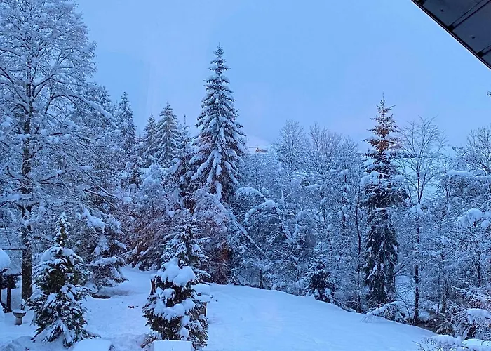 Apartamento Zidana Marela - Attic With A View *