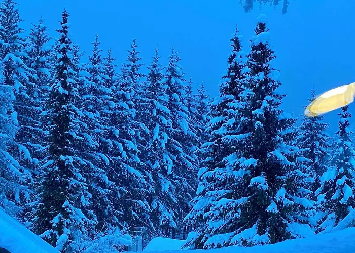 Zidana Marela - Attic With A View *